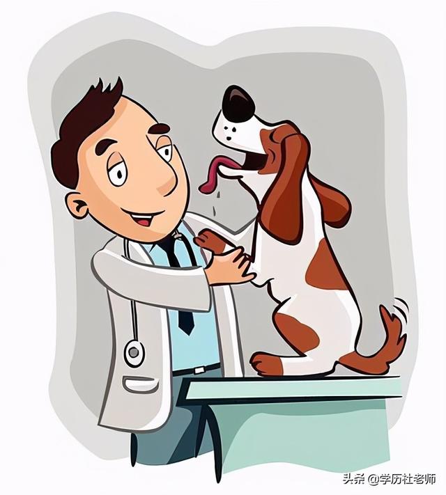 宠物临床诊断去哪里学要什么学历