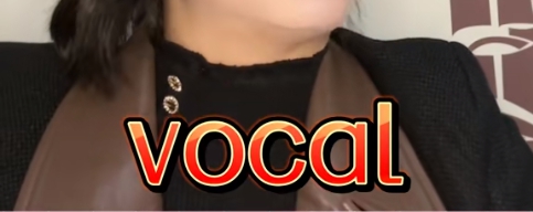 vocal是什么意思