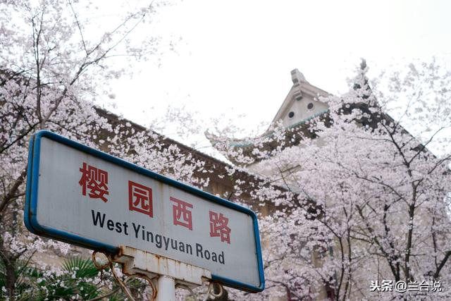 武汉大学历史上的选址